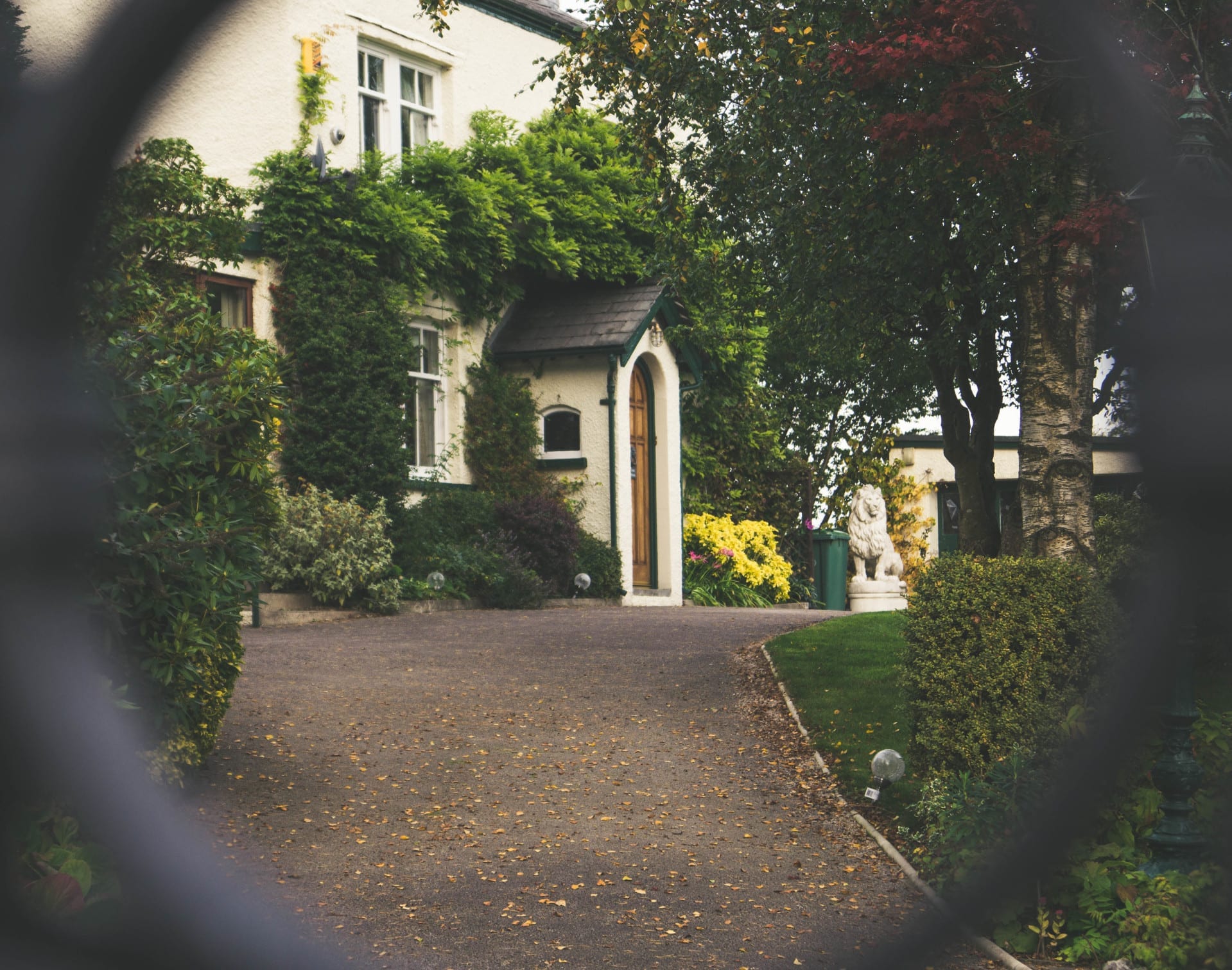 A shot of a driveway leading up to a house