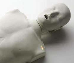 Prestan Professional Adult CPR/AED Training Manikin with CPR monitor - includes 10 lung bags