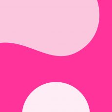 Fundamental Wellbeing Delegate Packs