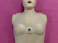 The PRESTAN Female Accessory