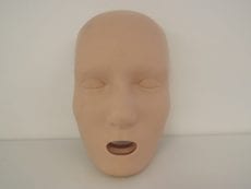 A replacement Adult manakin face