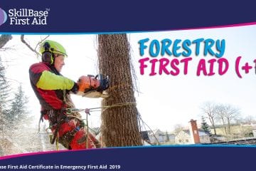 A Tree Surgeon felling a tree with a chainsaw in a residential area